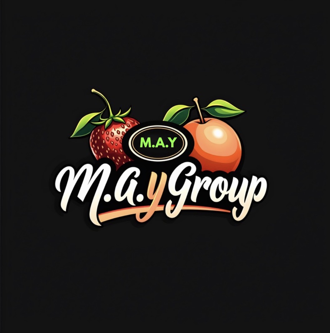 MAY Group logo